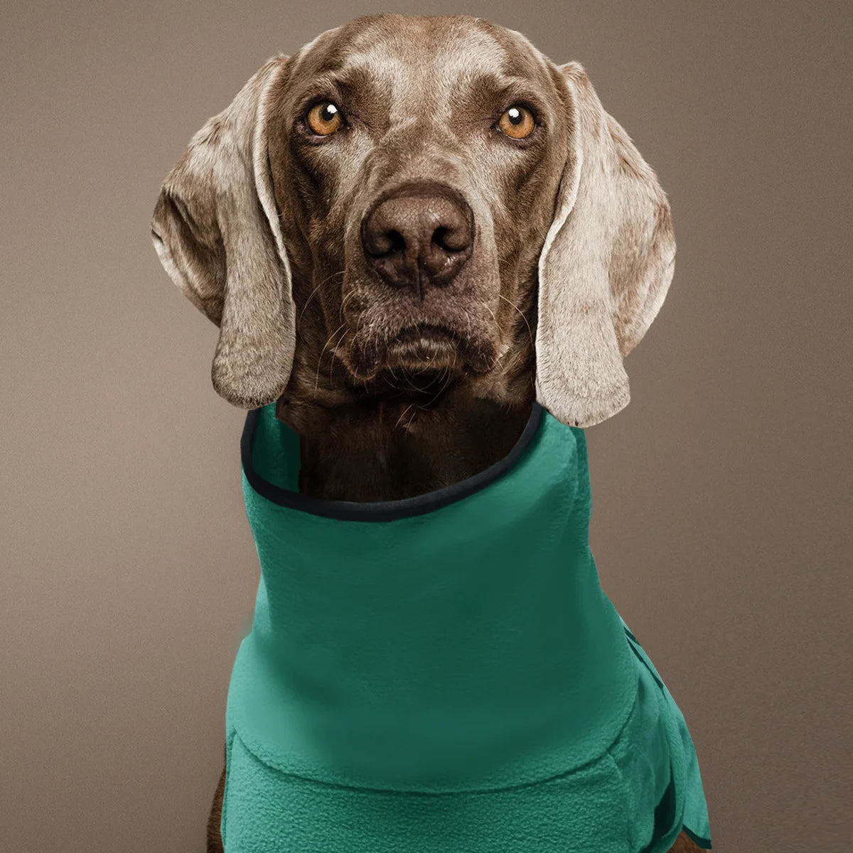4Sassy Winter Warm Dog Jacket