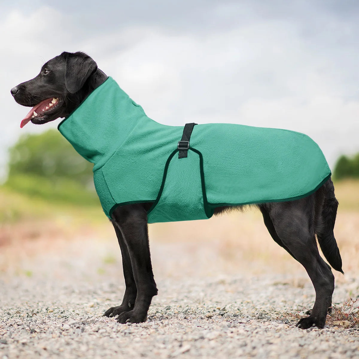 4Sassy Winter Warm Dog Jacket