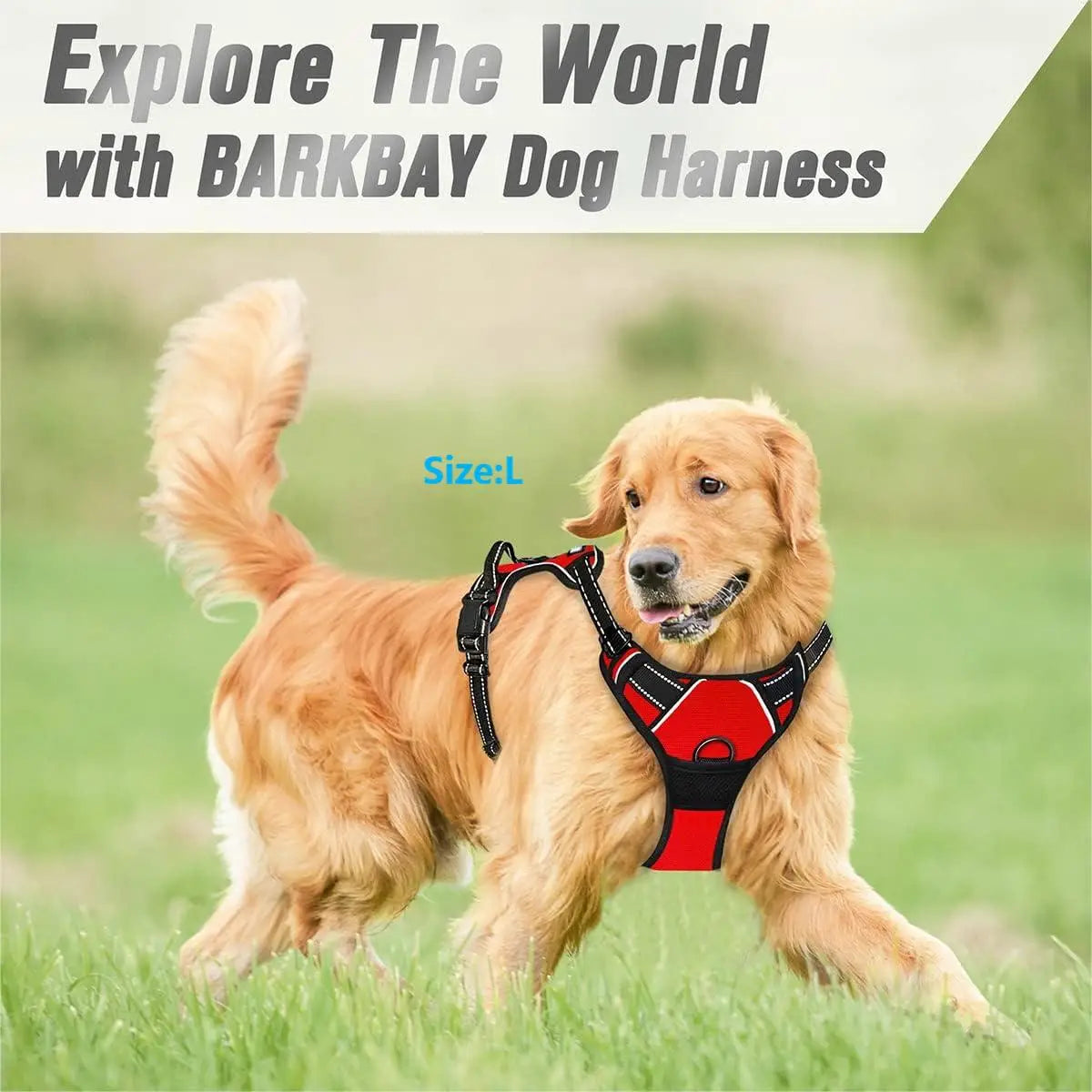 4Sassy Reflective Dog Vest Harness