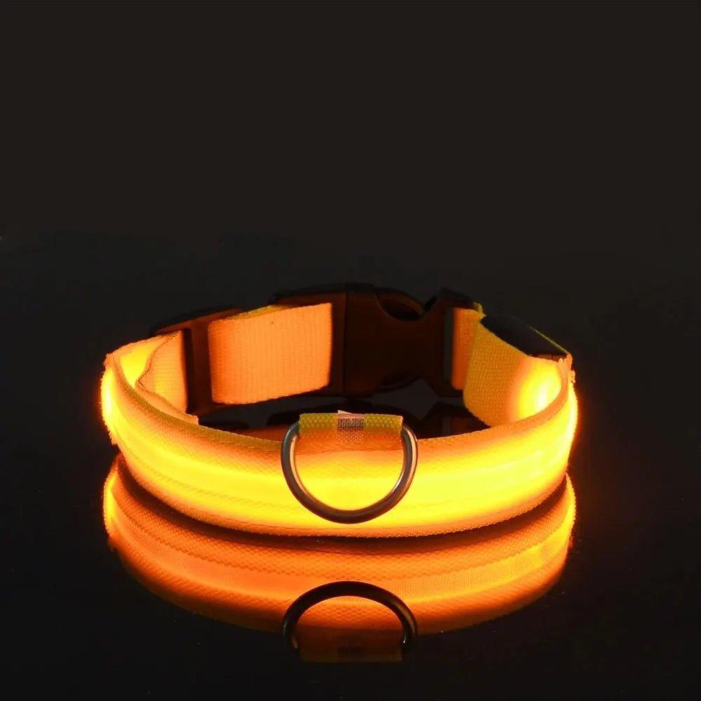 4Sassy Classic Dog Collar