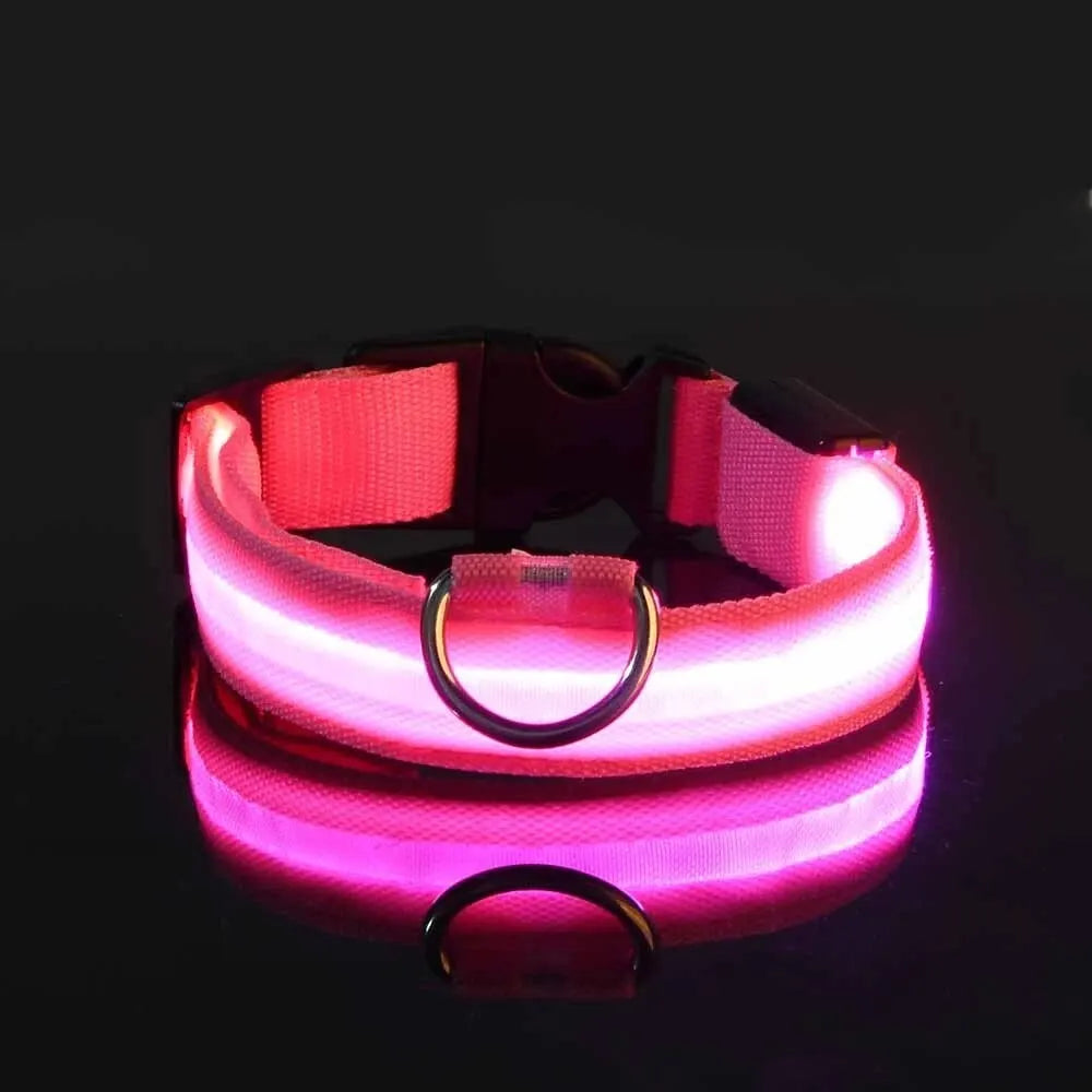 4Sassy Classic Dog Collar