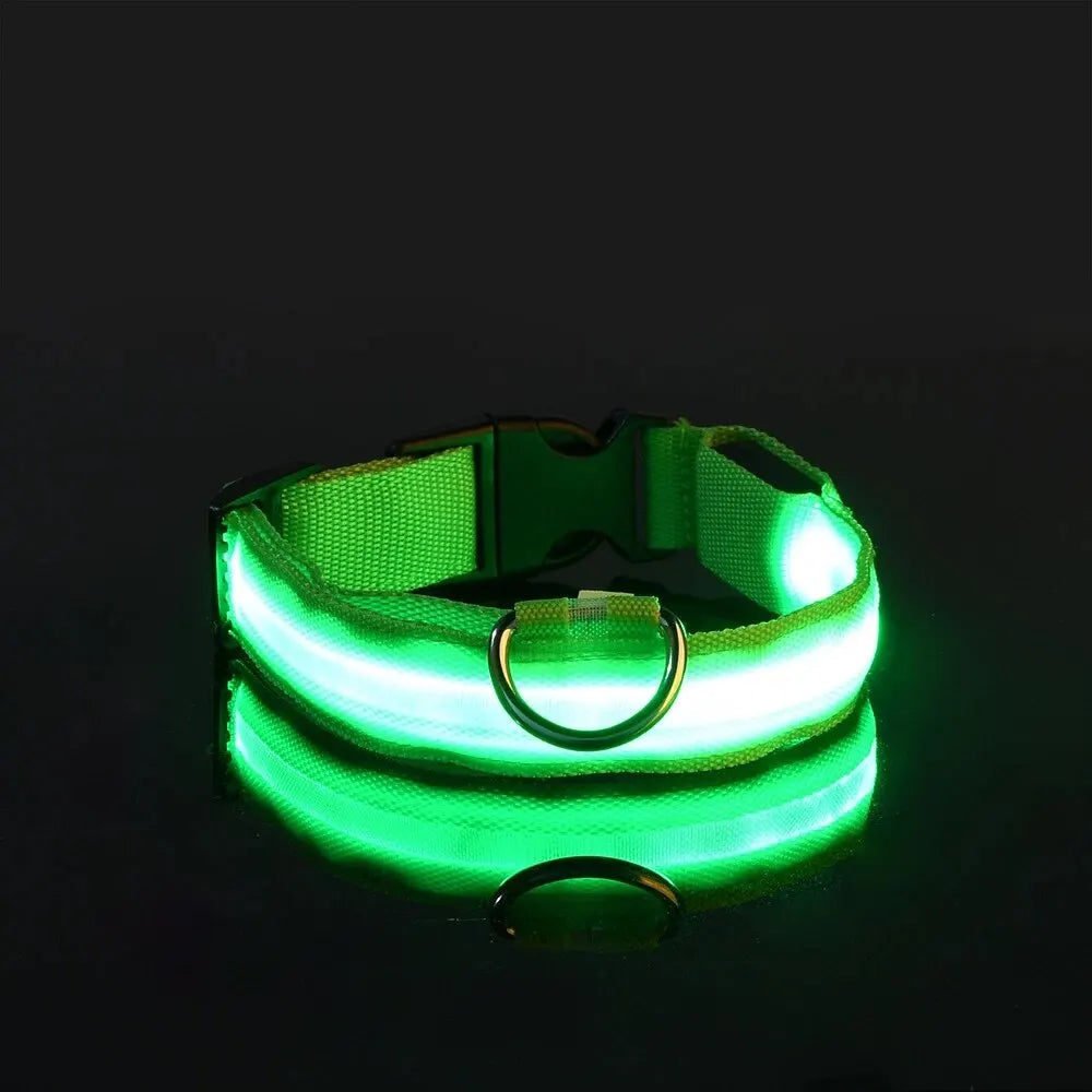 4Sassy Classic Dog Collar