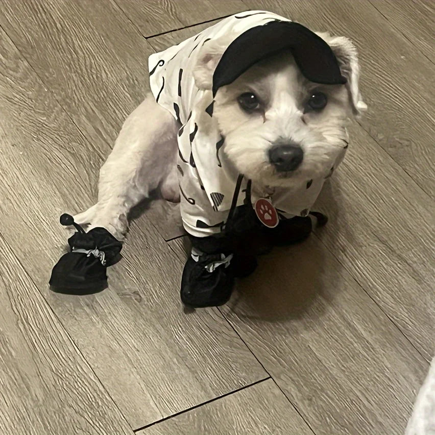 4Sassy Water-Resistant Dog Shoes