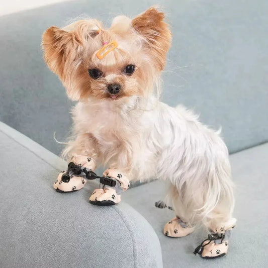 4Sassy Paw Protector Dog Shoes