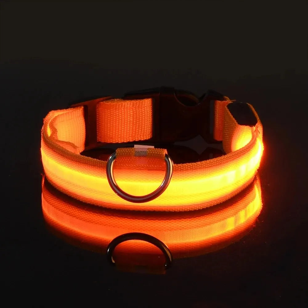 4Sassy Classic Dog Collar