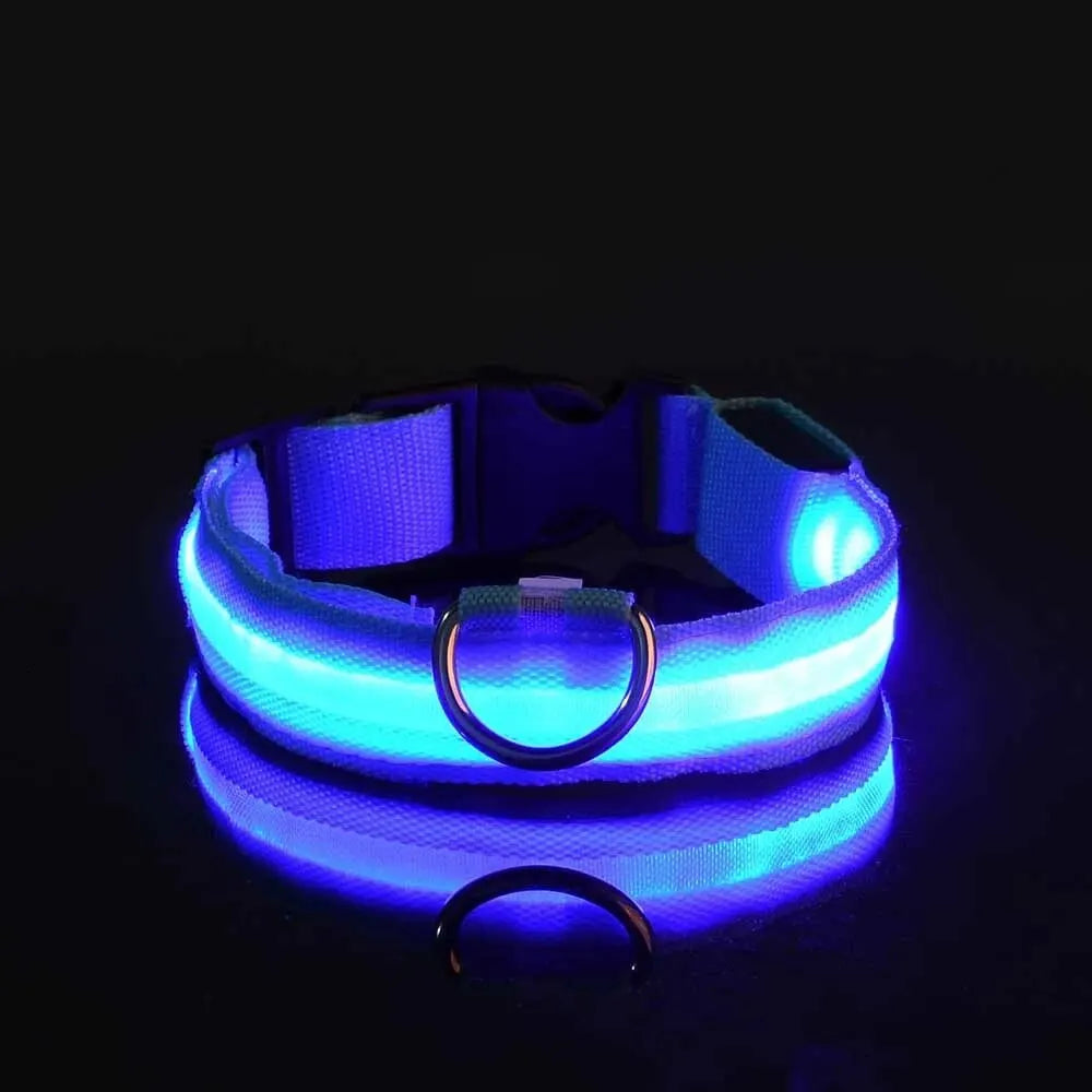 4Sassy Classic Dog Collar