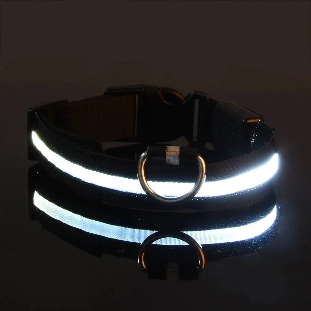 4Sassy Classic Dog Collar