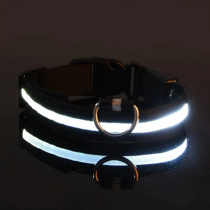 4Sassy Classic Dog Collar