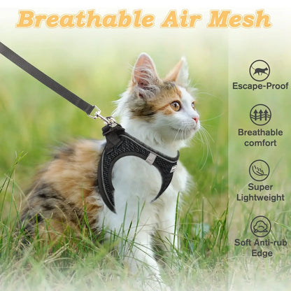 4Sassy SafeWalk Pet Harness