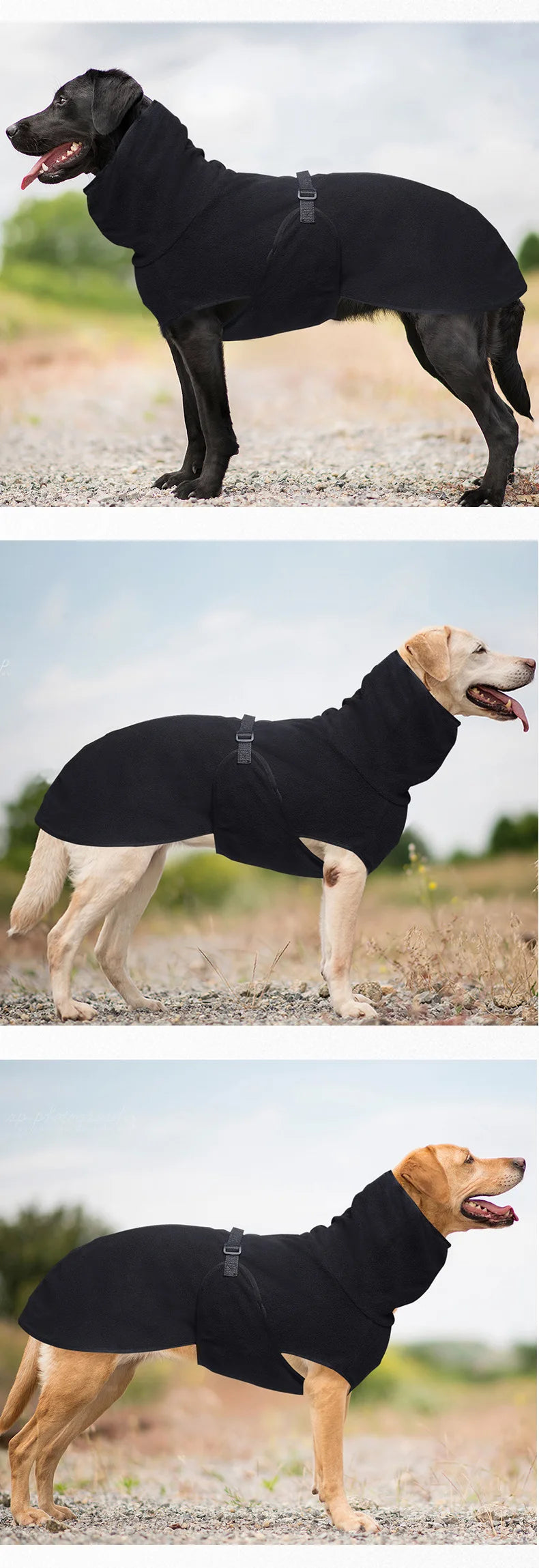 4Sassy Winter Warm Dog Jacket