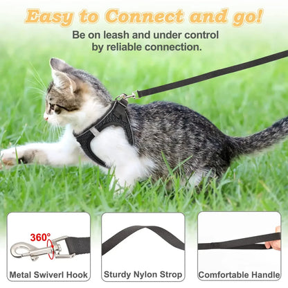 4Sassy SafeWalk Pet Harness