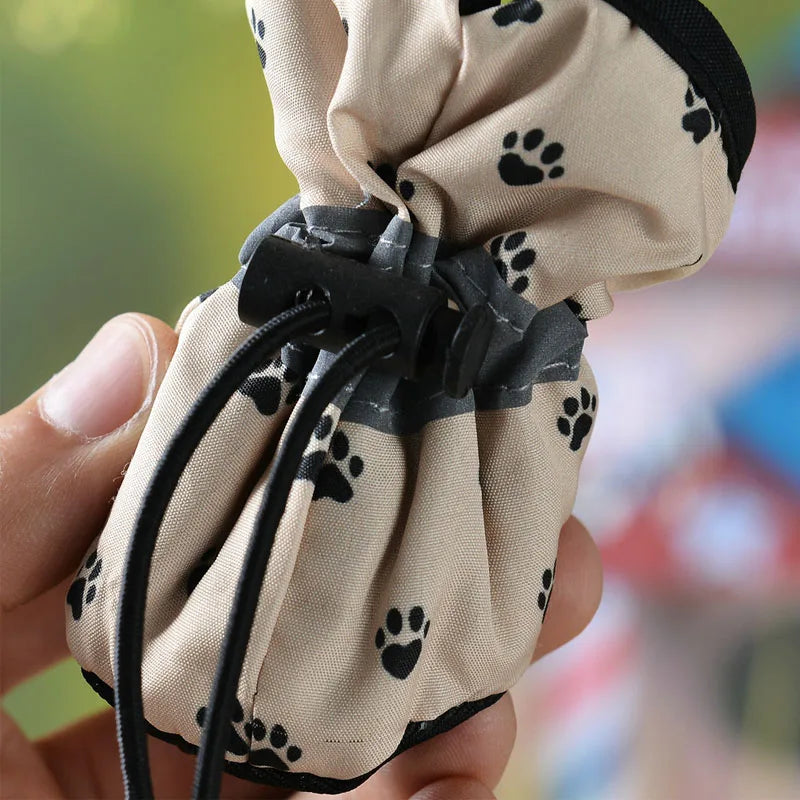 4Sassy Paw Protector Dog Shoes