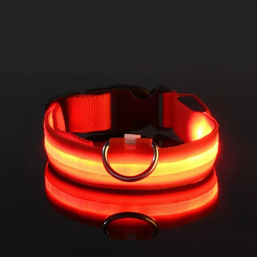 4Sassy Classic Dog Collar