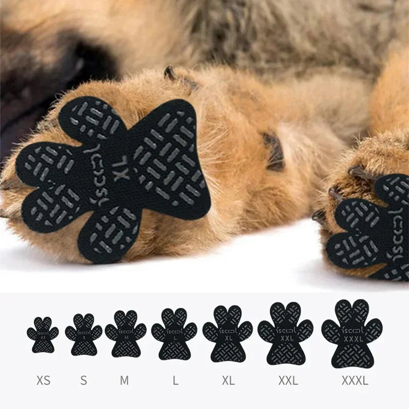 4Sassy PawGrip