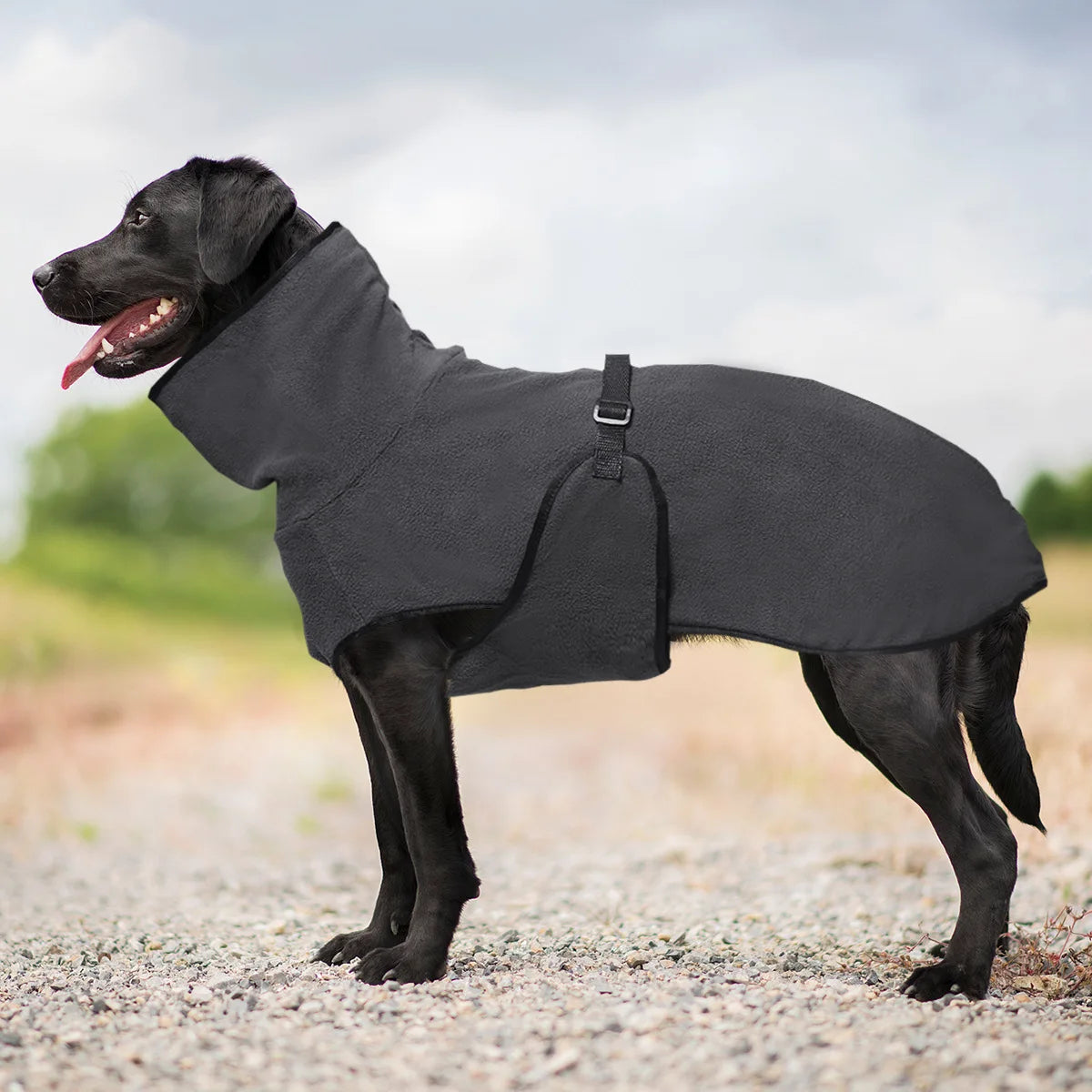 4Sassy Winter Warm Dog Jacket