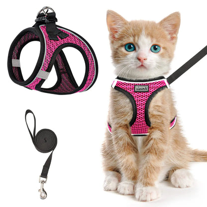4Sassy SafeWalk Pet Harness