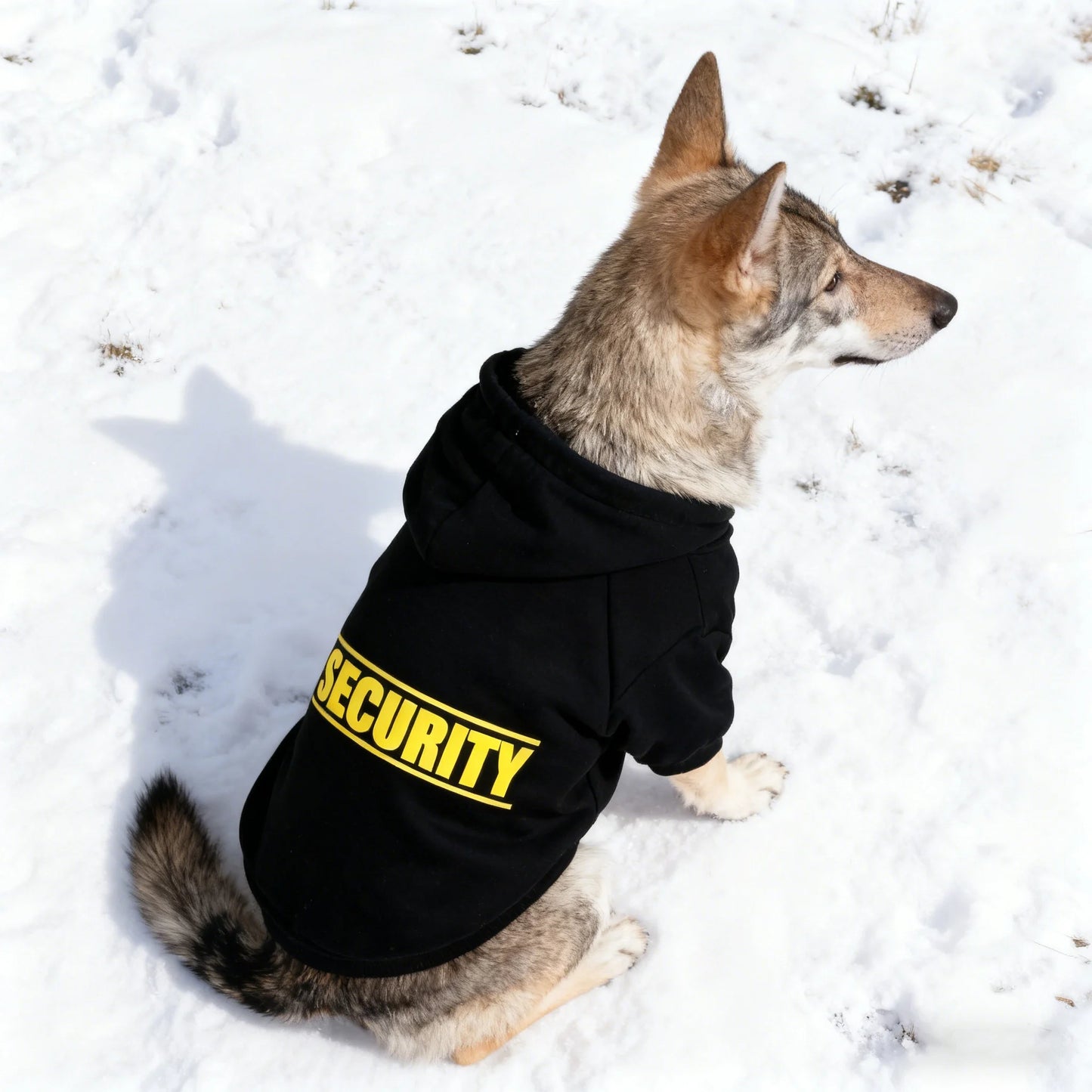 4Sassy CozyPaw Fleece Dog Sweater