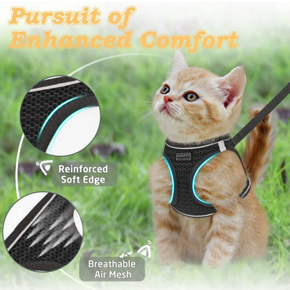 4Sassy SafeWalk Pet Harness