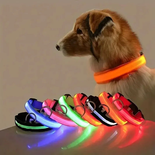 4Sassy Classic Dog Collar