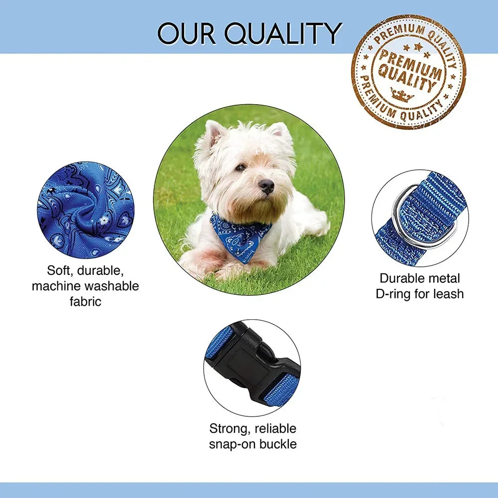 4Sassy Nylon Dog Bandana