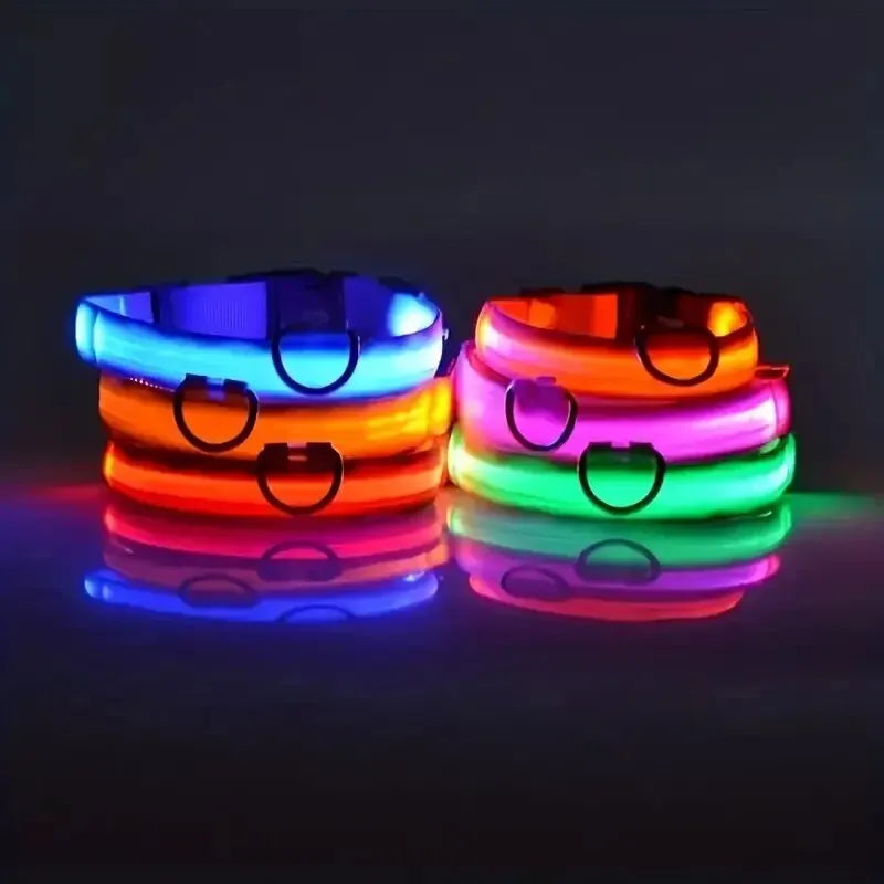 4Sassy Classic Dog Collar